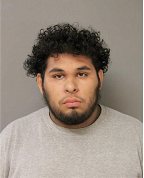 MIGUEL ISAC NAVA, Cook County, Illinois