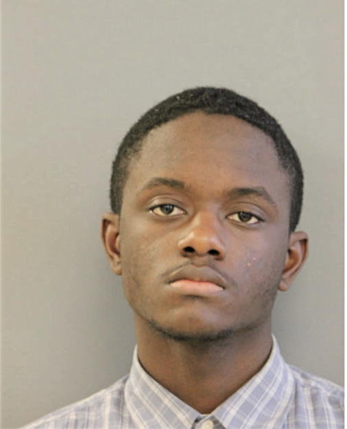 LUIS M PERRY, Cook County, Illinois