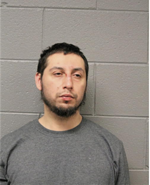 SAUL PINA, Cook County, Illinois