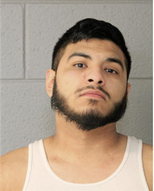 NOE RABADAN, Cook County, Illinois