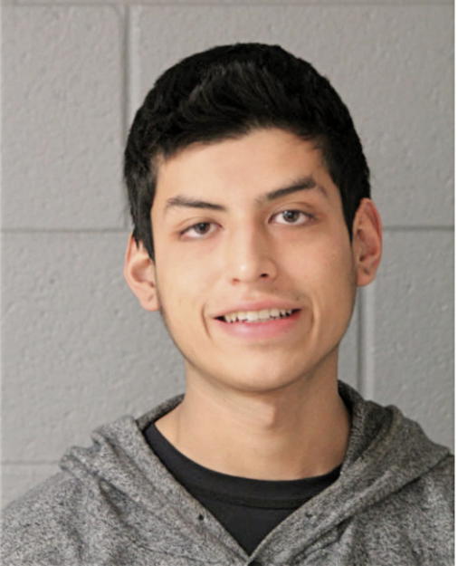 GUSTAVO ROSALES, Cook County, Illinois