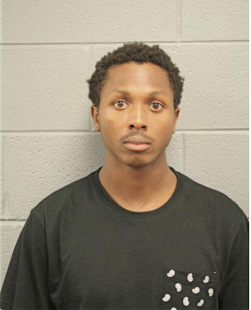 DAVID M THOMPSON, Cook County, Illinois