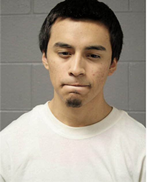 ADRIAN SALTO TREVINO, Cook County, Illinois