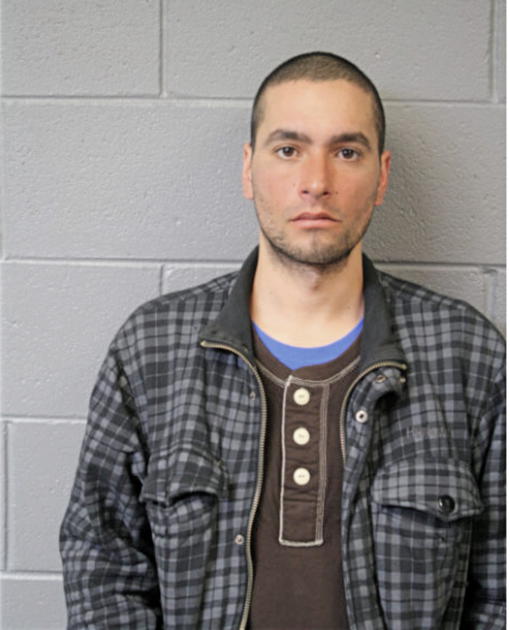JOSE MELENDEZ, VEGA, Cook County, Illinois