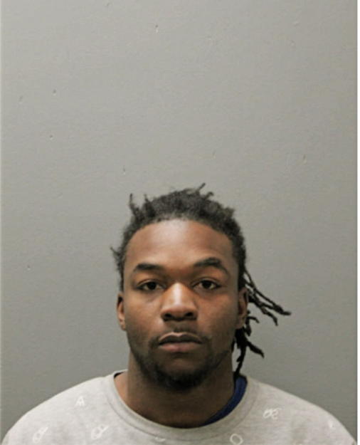MICHAEL L WILLIAMS, Cook County, Illinois