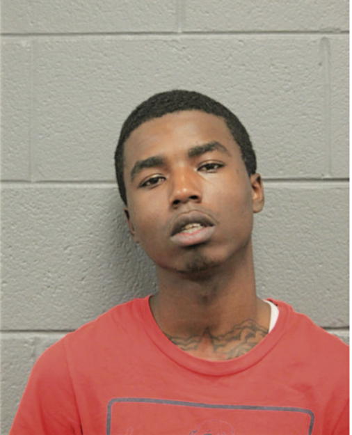 MYCHEAL T WILLIAMSON, Cook County, Illinois