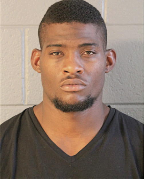 ERIC D YOUNG, Cook County, Illinois