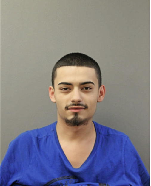 MICHAEL ALARCON, Cook County, Illinois