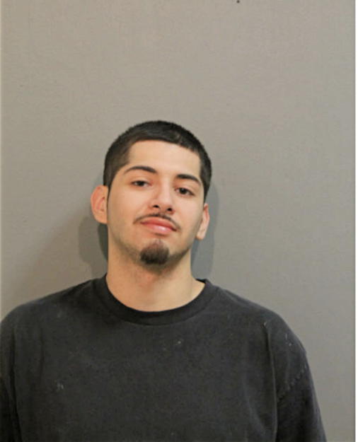 SALVADOR P ALVIN, Cook County, Illinois