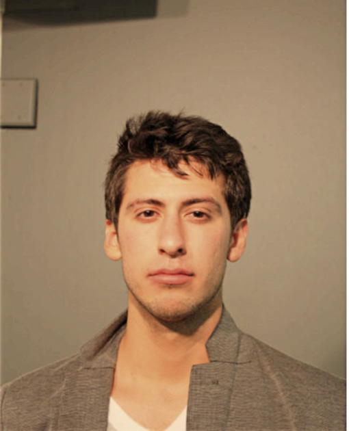 JULIAN DAMIAN, Cook County, Illinois