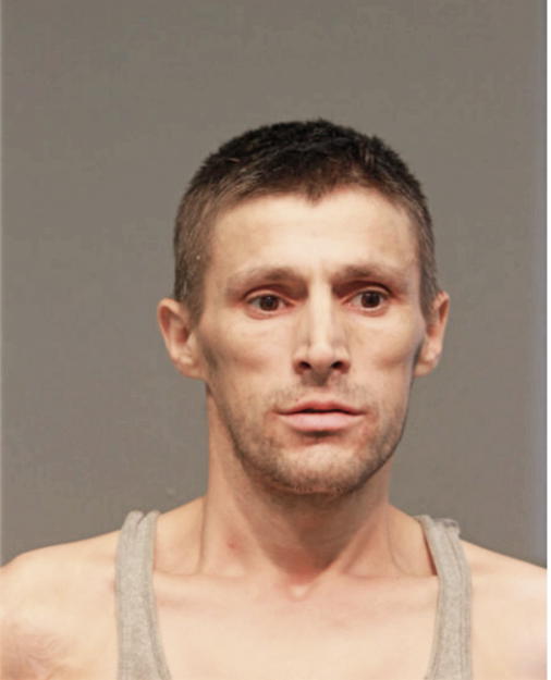 SELVDIN HASIC, Cook County, Illinois