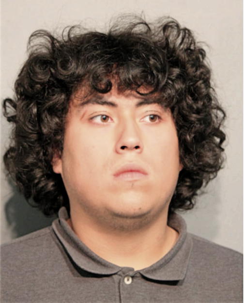 ALEX HERNANDEZ, Cook County, Illinois