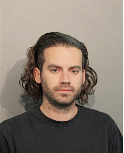 MATTHEW J HOGAN, Cook County, Illinois
