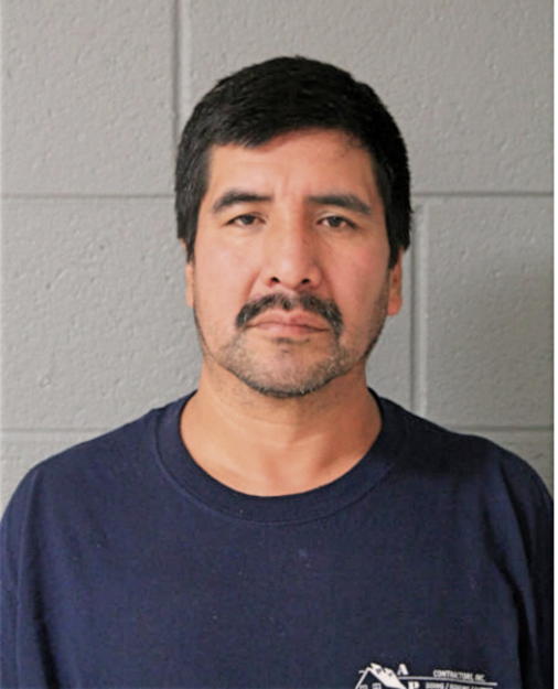 MOISES IRINEO, Cook County, Illinois