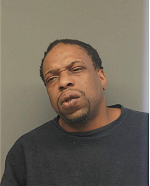 MICHAEL B JOHNSON, Cook County, Illinois