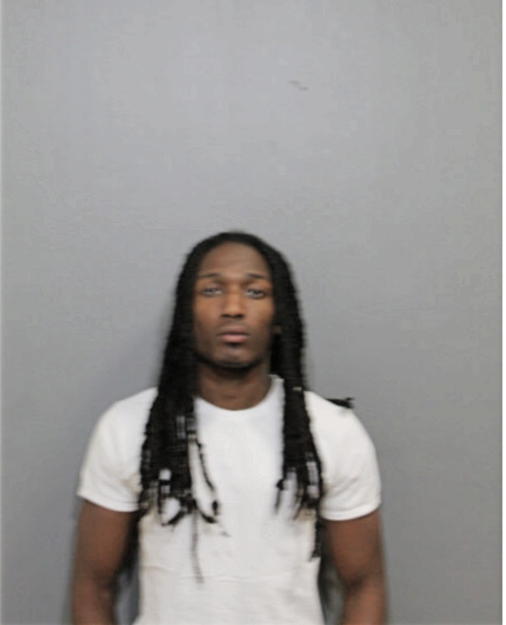 DMARIO A LEWIS, Cook County, Illinois