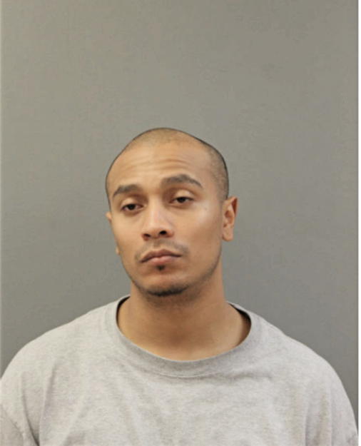 ADRIAN F LLANOS, Cook County, Illinois