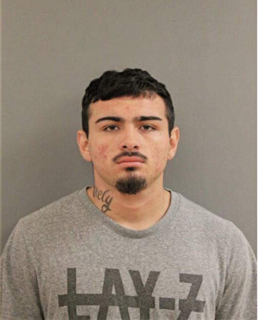 DAMION L MANSFIELD, Cook County, Illinois