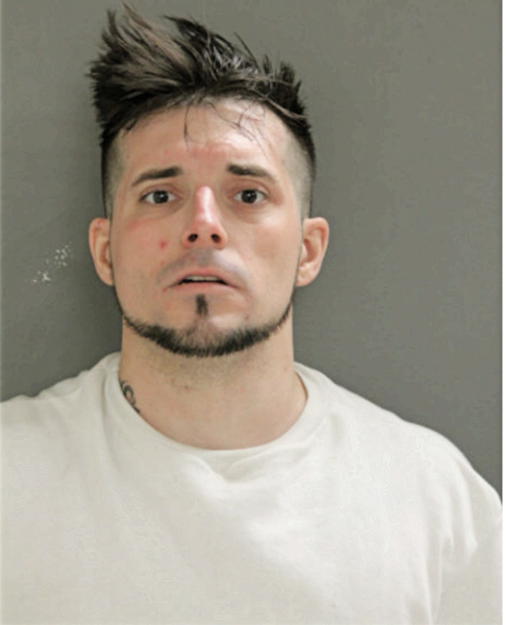 CHRISTOPHER MCLEES, Cook County, Illinois