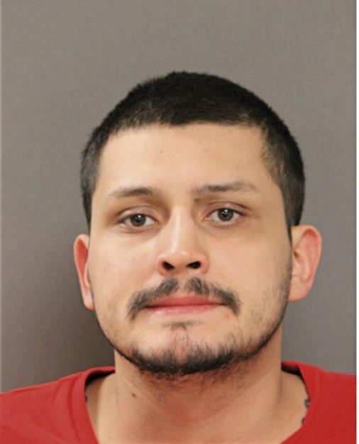 STEVEN MENDOZA, Cook County, Illinois