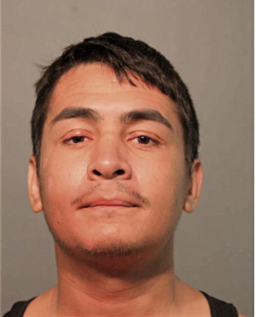DAVID J MERCADO, Cook County, Illinois