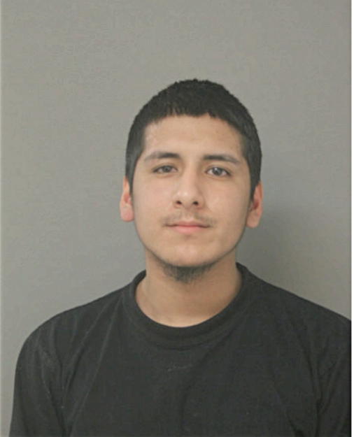 JOHN D PERALTA, Cook County, Illinois