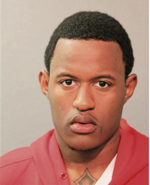 TRENT L STEPHENS, Cook County, Illinois