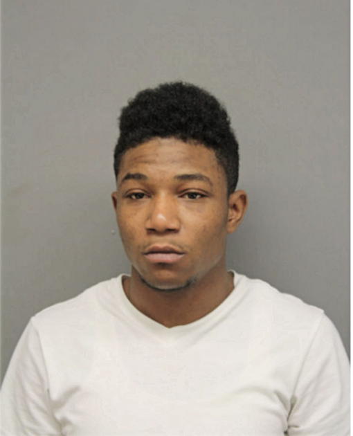 MAURICE D STEPNEY, Cook County, Illinois