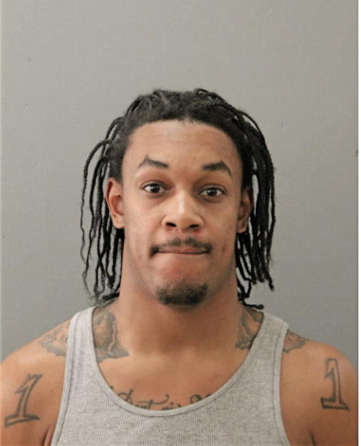 XAVIER A VANE, Cook County, Illinois