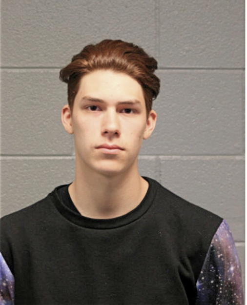 ROMAN R VASQUEZ, Cook County, Illinois