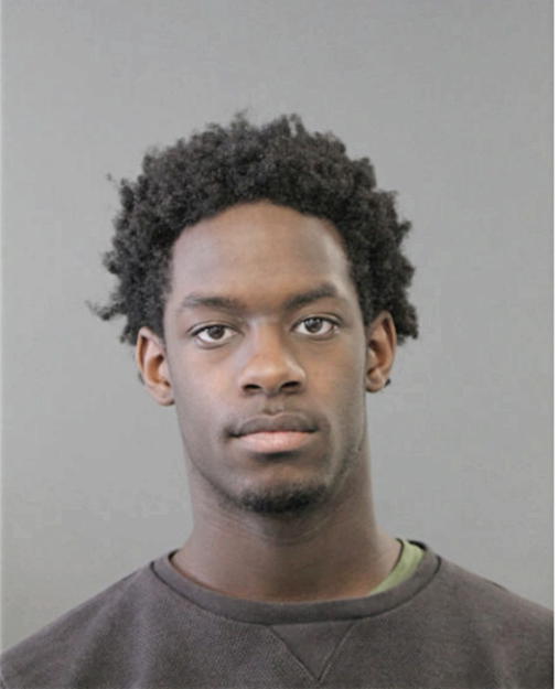 PATRICK J WILSON, Cook County, Illinois