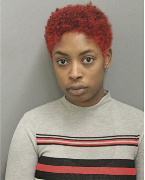 JESSICA N ADAMS, Cook County, Illinois