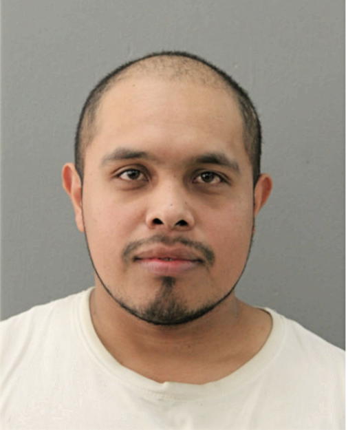 ERIS DAVID ARRECIS-FLORIAN, Cook County, Illinois