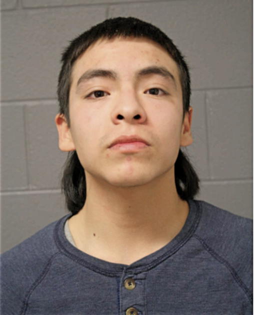 ALBERTO CAMARGO, Cook County, Illinois