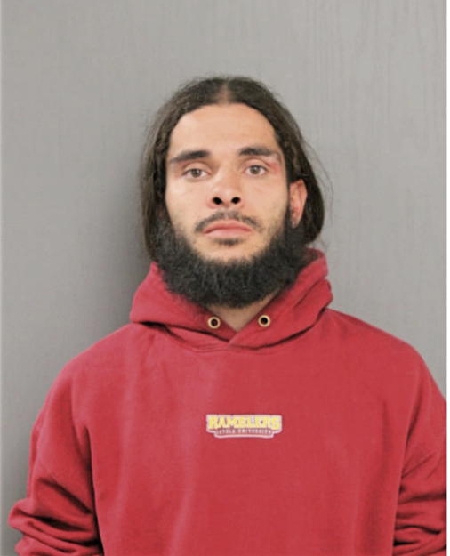 ROY G CORTEZ, Cook County, Illinois