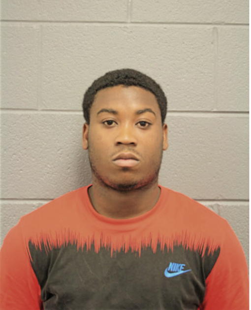 MICHAEL S ELAM, Cook County, Illinois