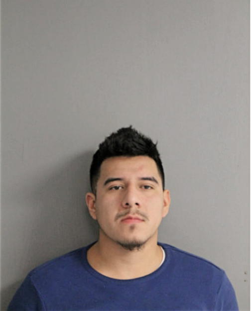 JORGE FLORES, Cook County, Illinois