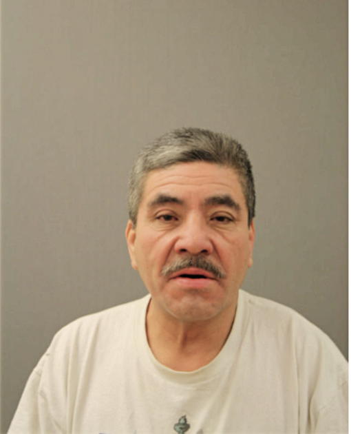 ROMAN FLORES, Cook County, Illinois