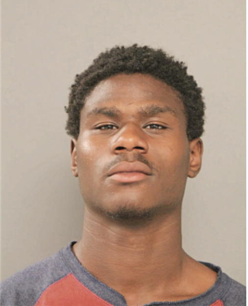LEANDREW GIBSON, Cook County, Illinois