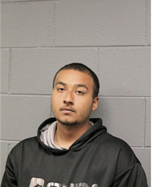 JUAN A GONZALEZ, Cook County, Illinois