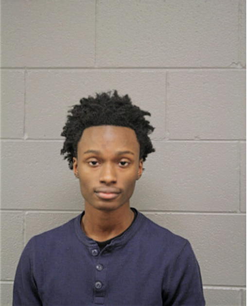 DE ANDRE J BIBBS, Cook County, Illinois