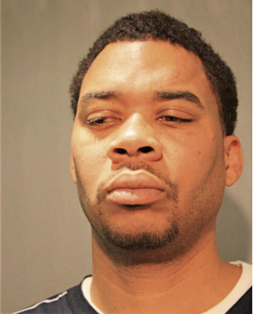 MICHEAL S JOHNSON, Cook County, Illinois