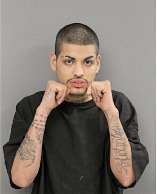 SANTIAGO LEON, Cook County, Illinois