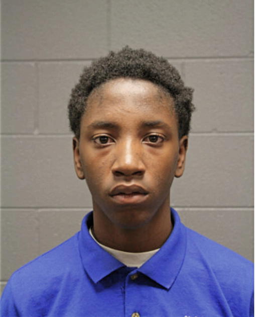 ANDREW N MCCLENDON, Cook County, Illinois
