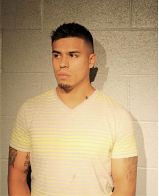 DANIEL A MORALES, Cook County, Illinois