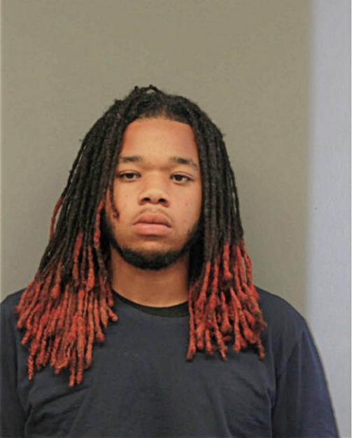 RONALD G MURDOCK, Cook County, Illinois