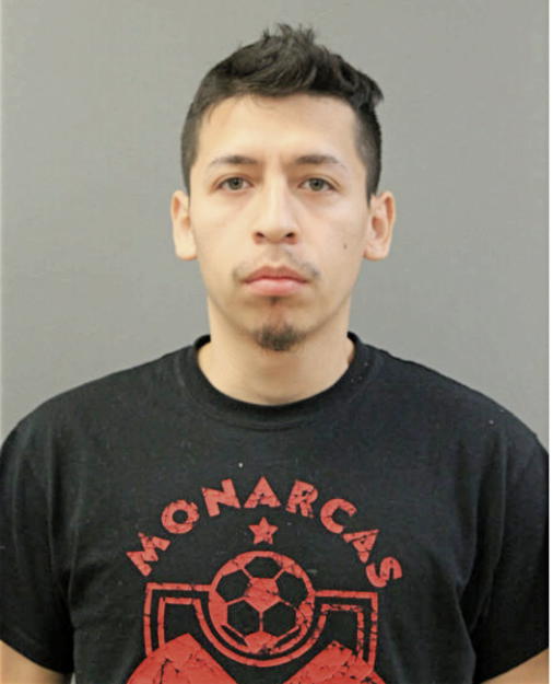 JESSE J OLIVARES, Cook County, Illinois