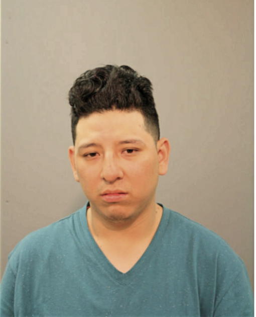 JOSE J PERALTA, Cook County, Illinois
