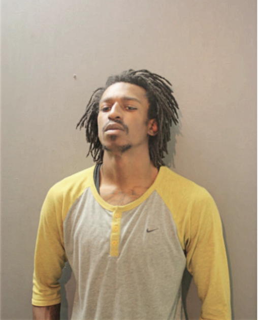 SHAWNDAIRYIOUS L PIERCE, Cook County, Illinois