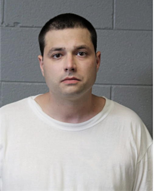 MICHAEL P STEVENS, Cook County, Illinois